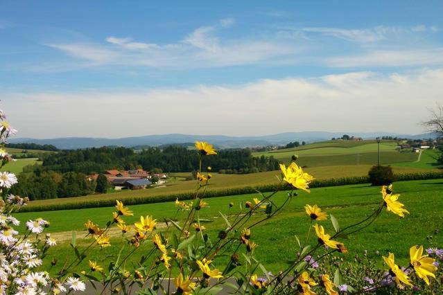 Ferienwohnung Im Bayerischen Wald Tittling المظهر الخارجي الصورة